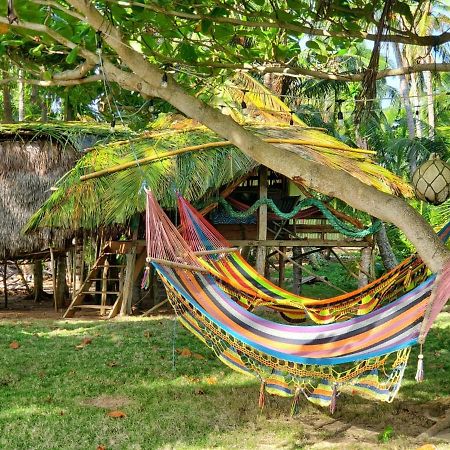 Derek'S Place Eco-Lodge Little Corn Island Exteriér fotografie