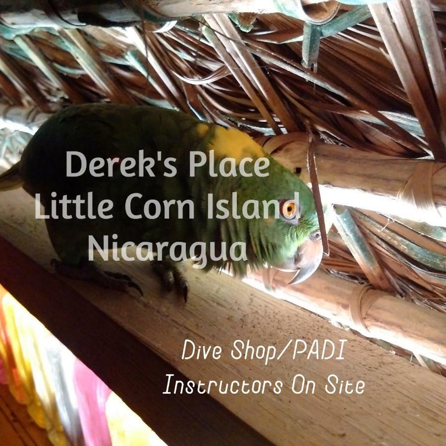 Derek'S Place Eco-Lodge Little Corn Island Exteriér fotografie